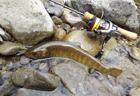 渓流ミノーイング